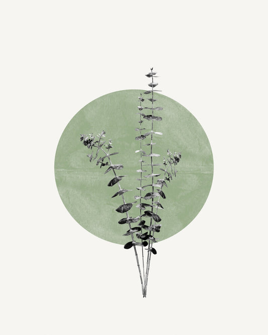 Botanical Circle