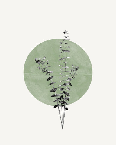 Botanical Circle