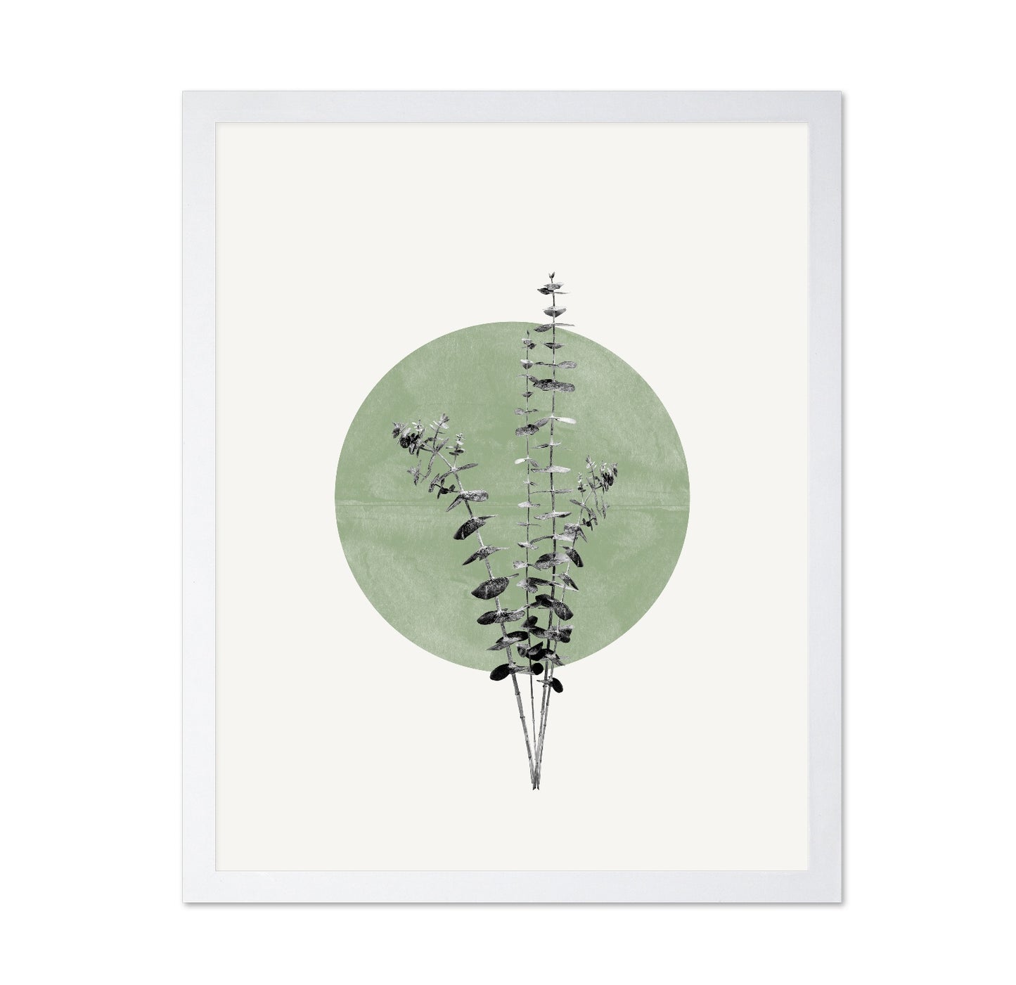 Botanical Circle