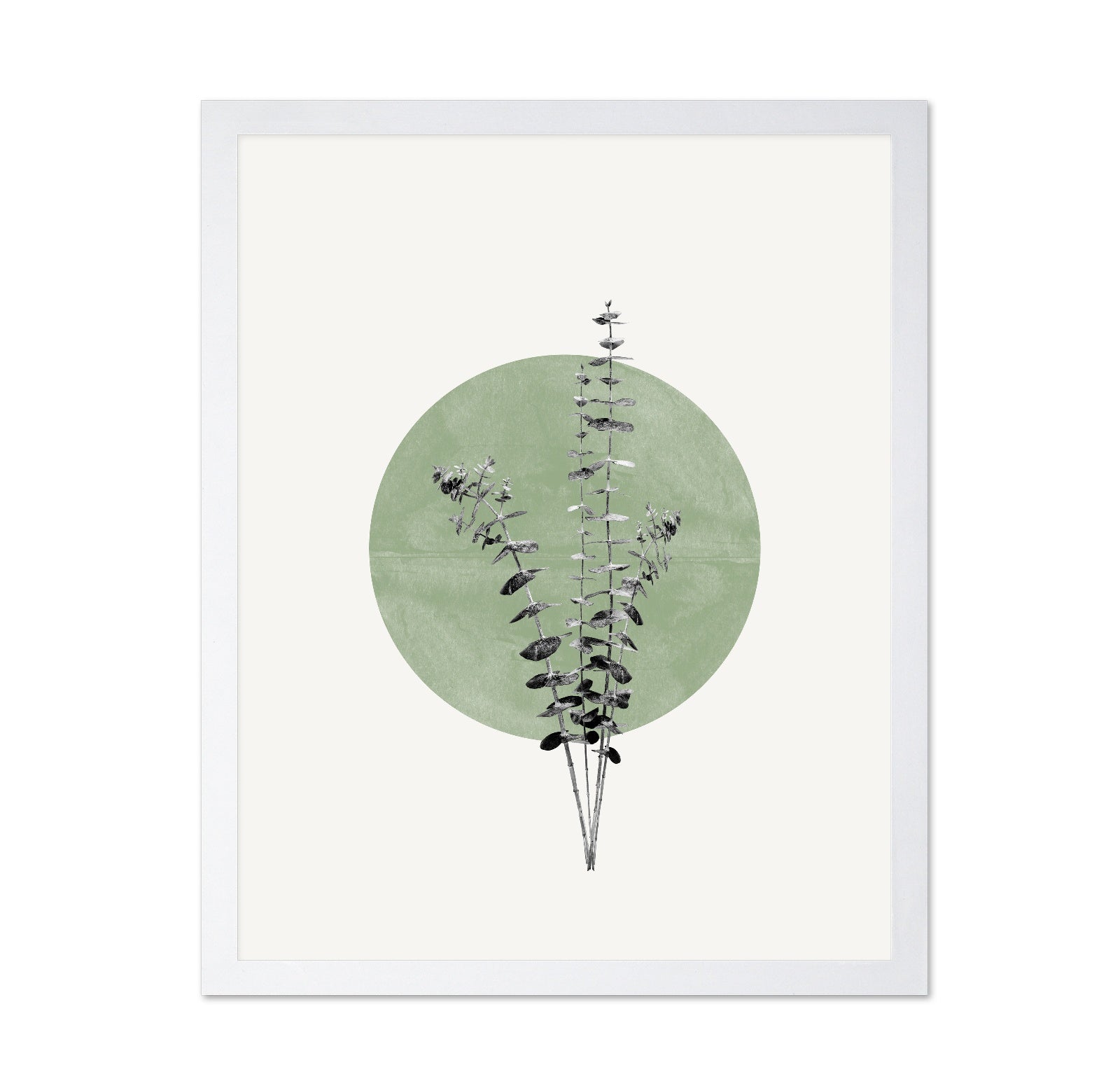 Botanical Circle