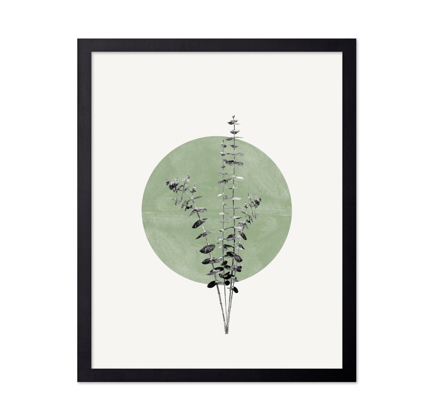 Botanical Circle