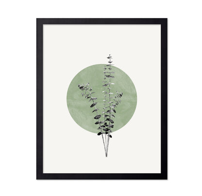Botanical Circle