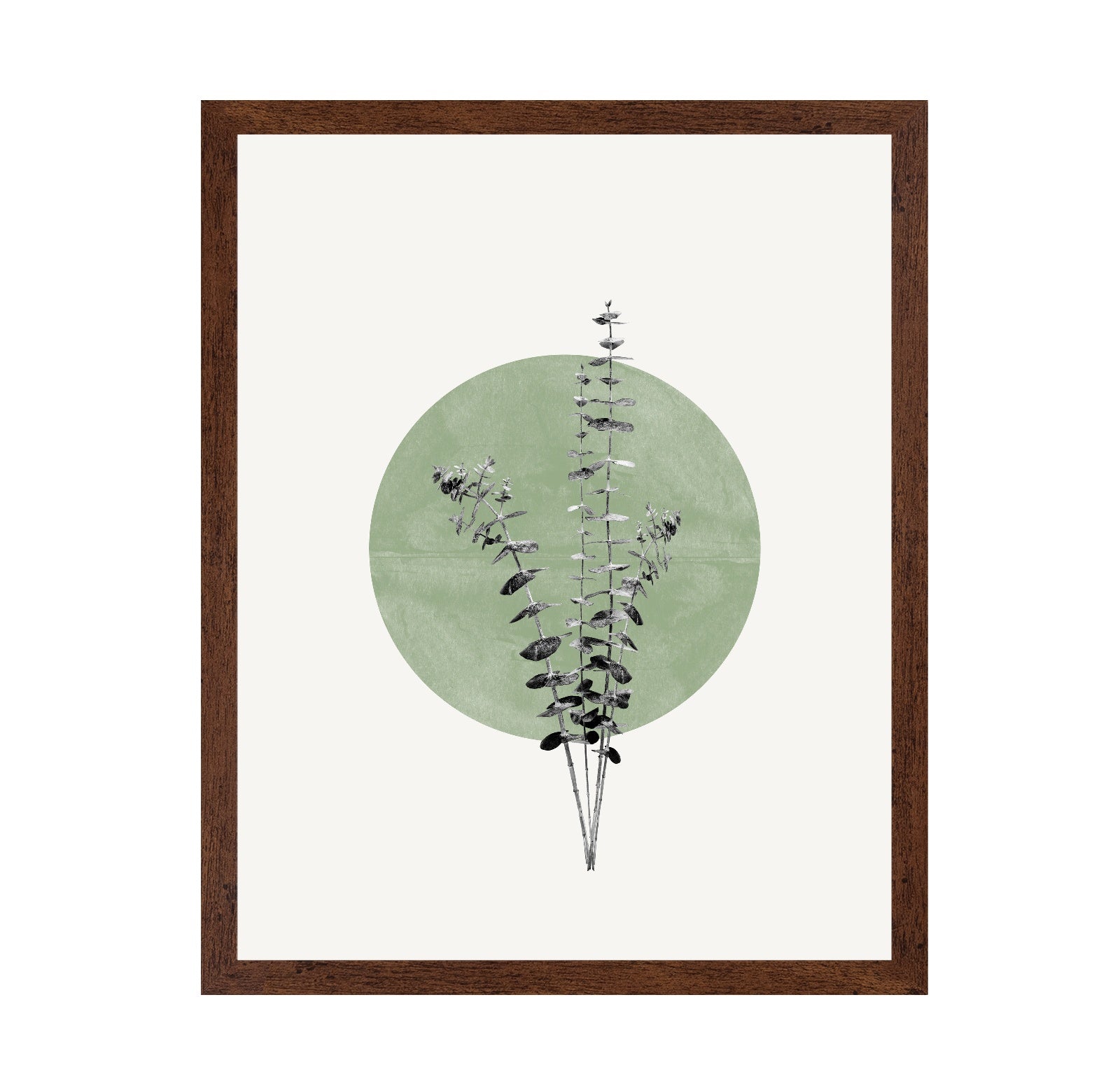 Botanical Circle