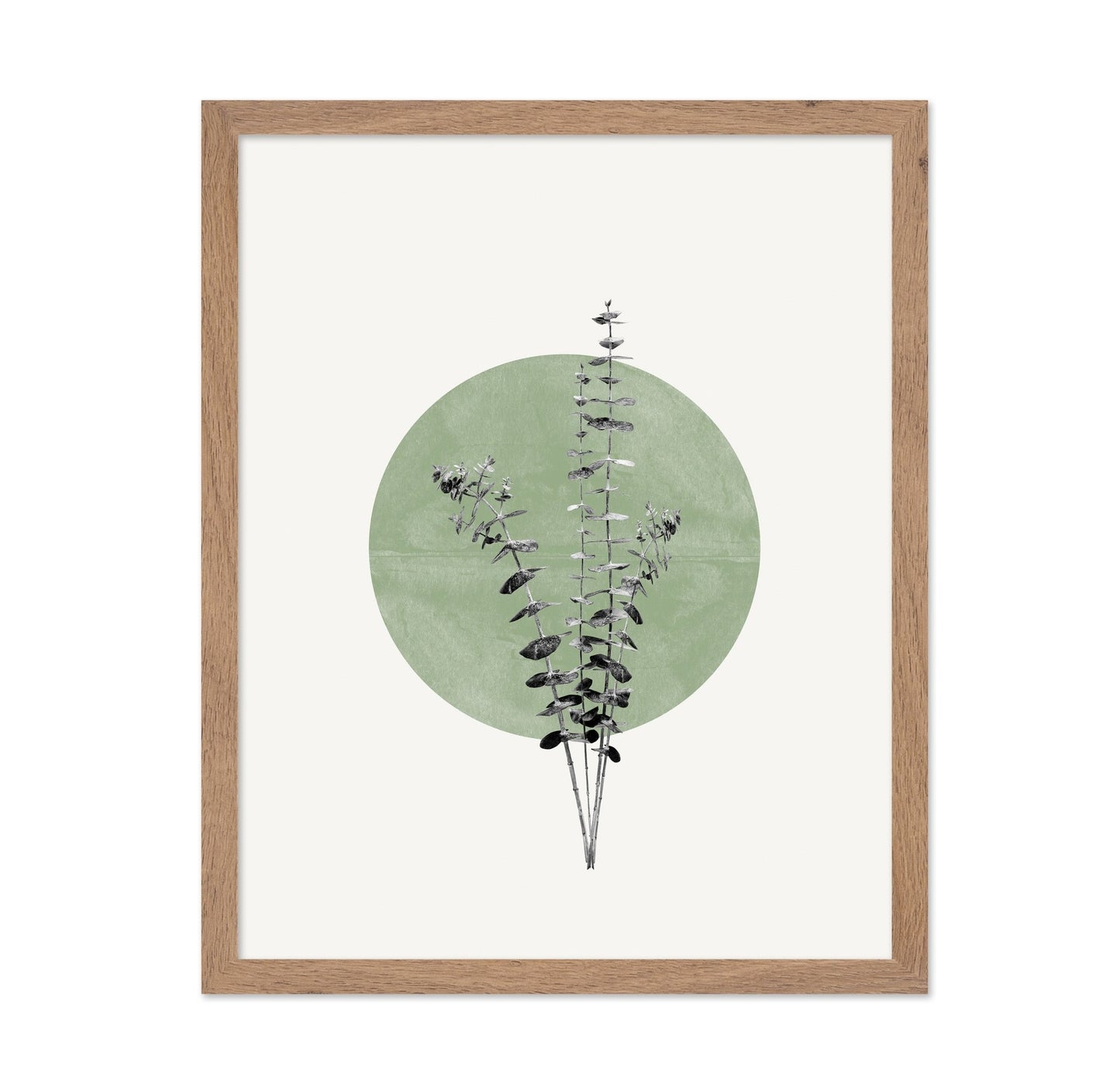 Botanical Circle