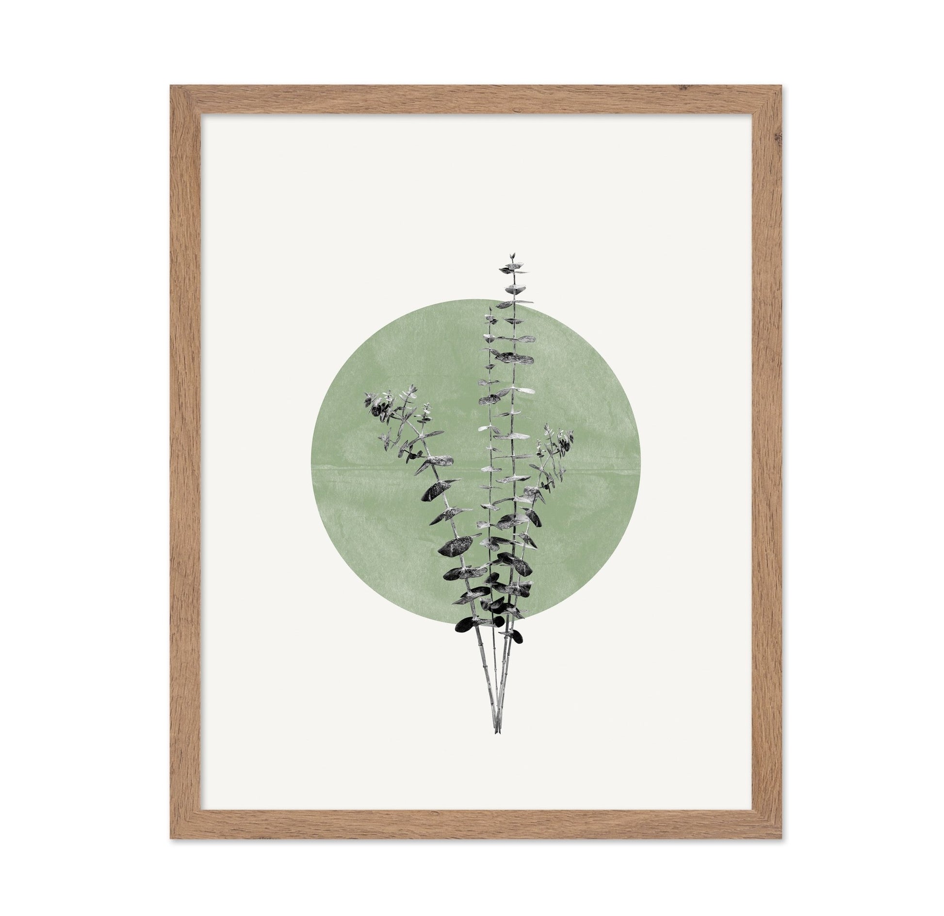Botanical Circle