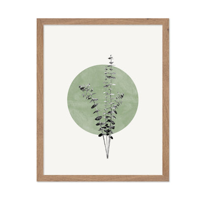 Botanical Circle