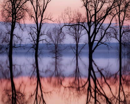 Sunset Tree Reflections