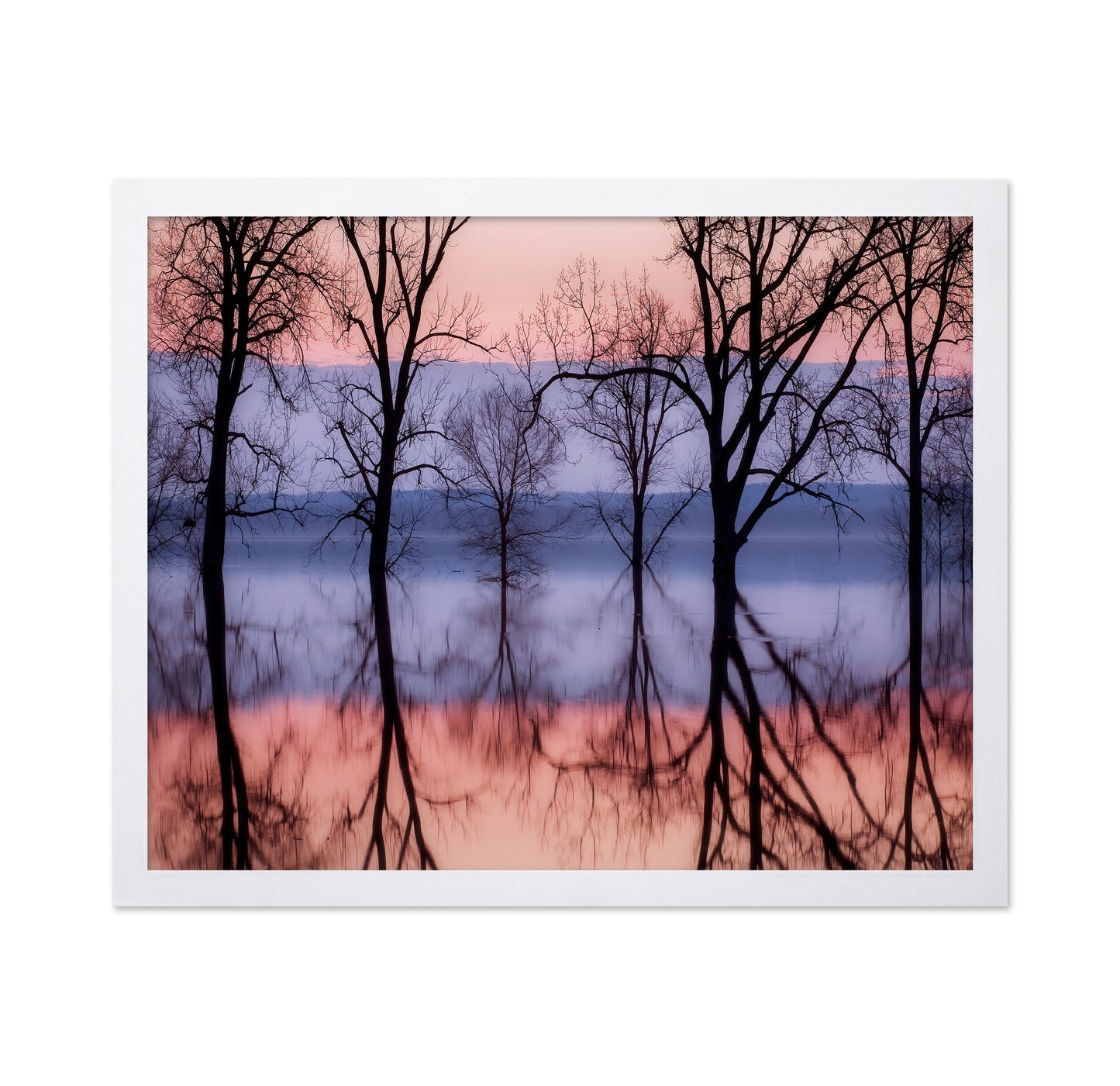 Sunset Tree Reflections