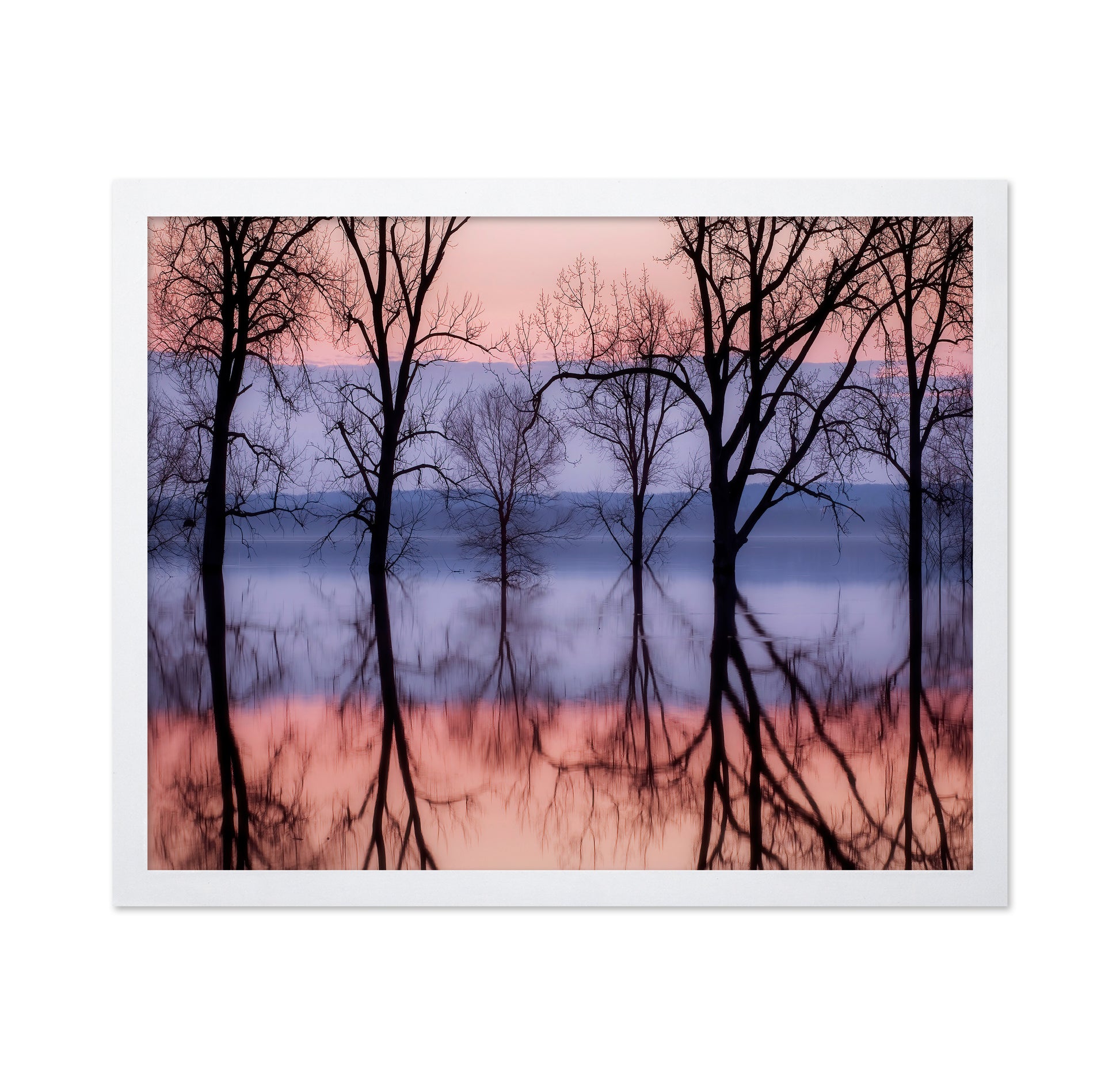 Sunset Tree Reflections