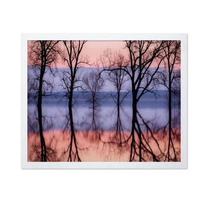 Sunset Tree Reflections