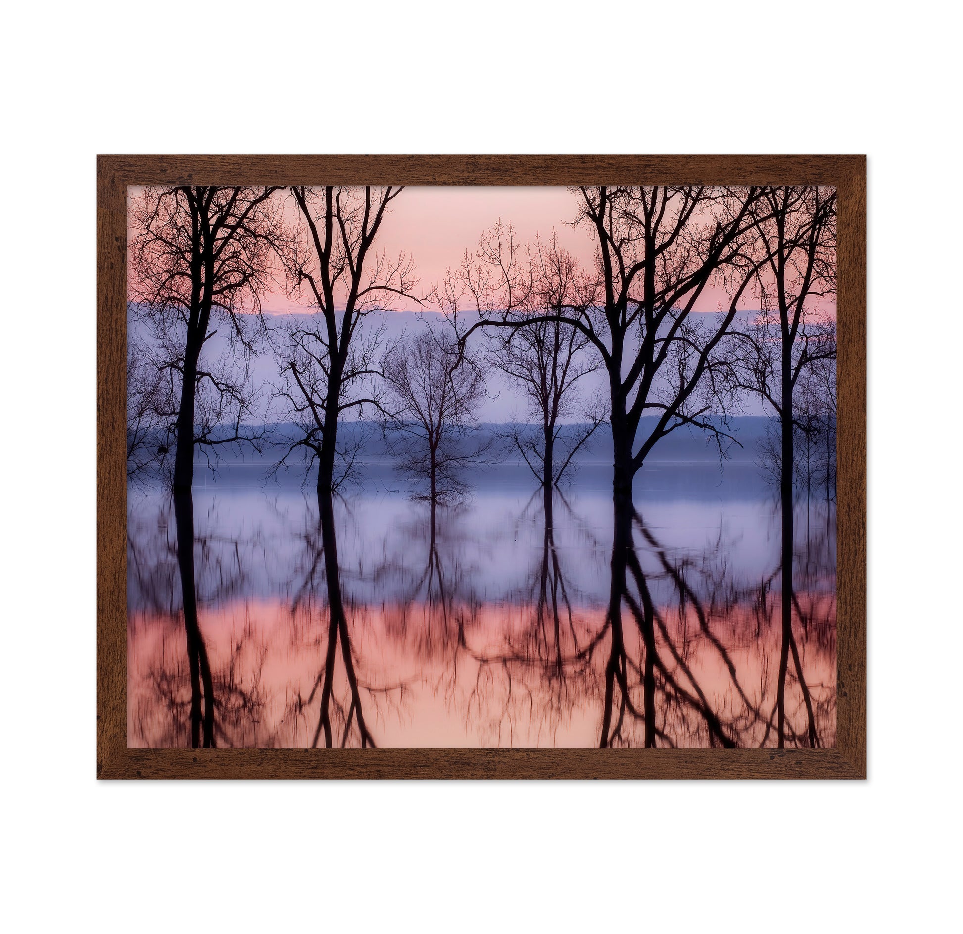 Sunset Tree Reflections