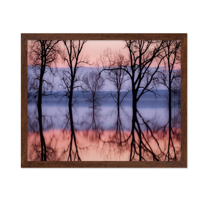 Sunset Tree Reflections