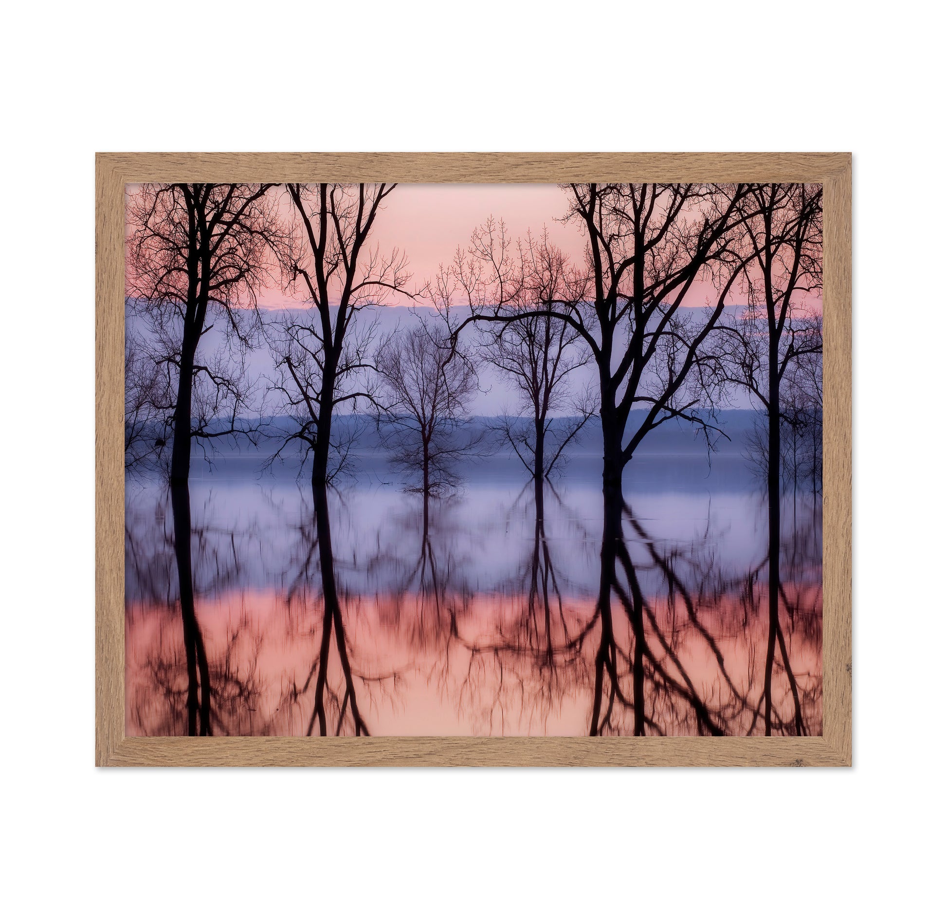 Sunset Tree Reflections