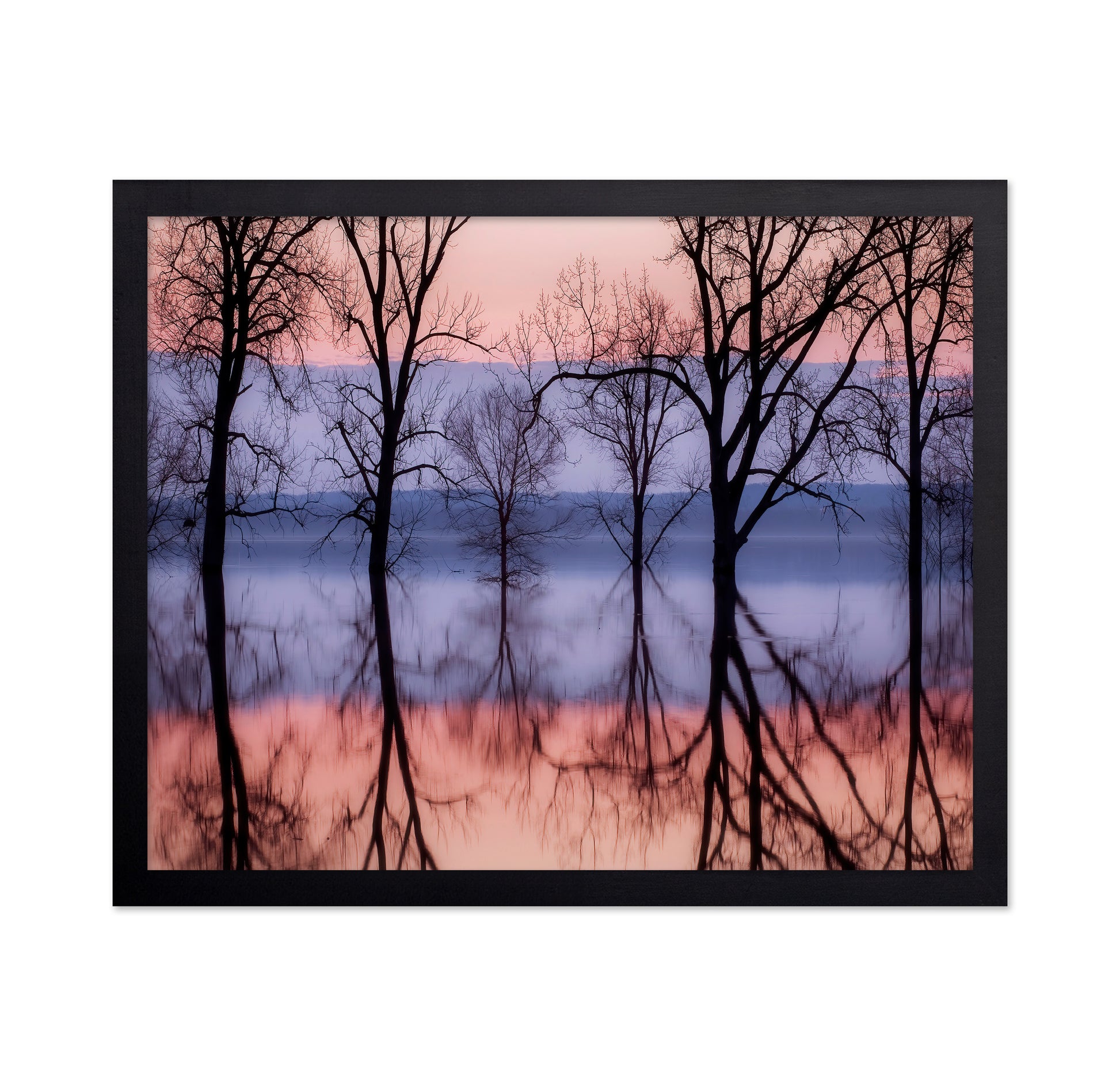 Sunset Tree Reflections