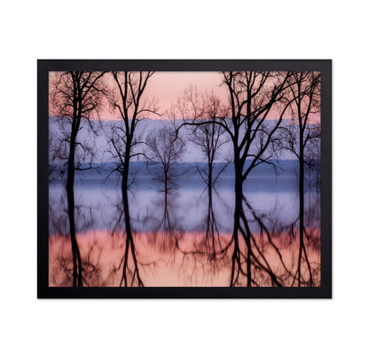 Sunset Tree Reflections