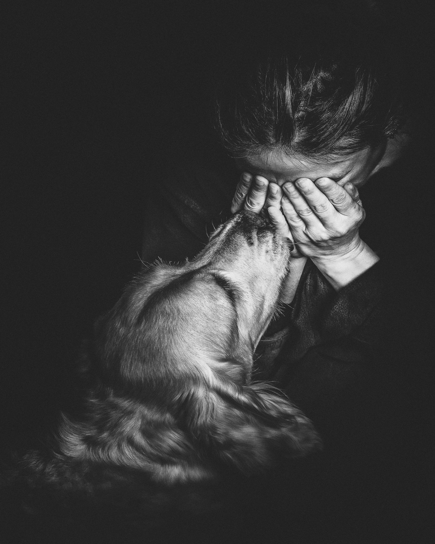 Dog Comfort Moment