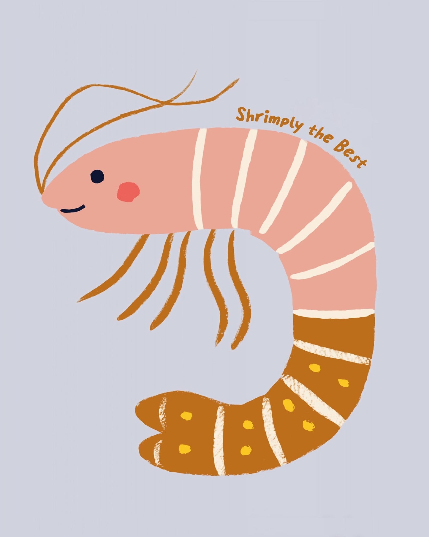 Cute Shrimp Illustration
