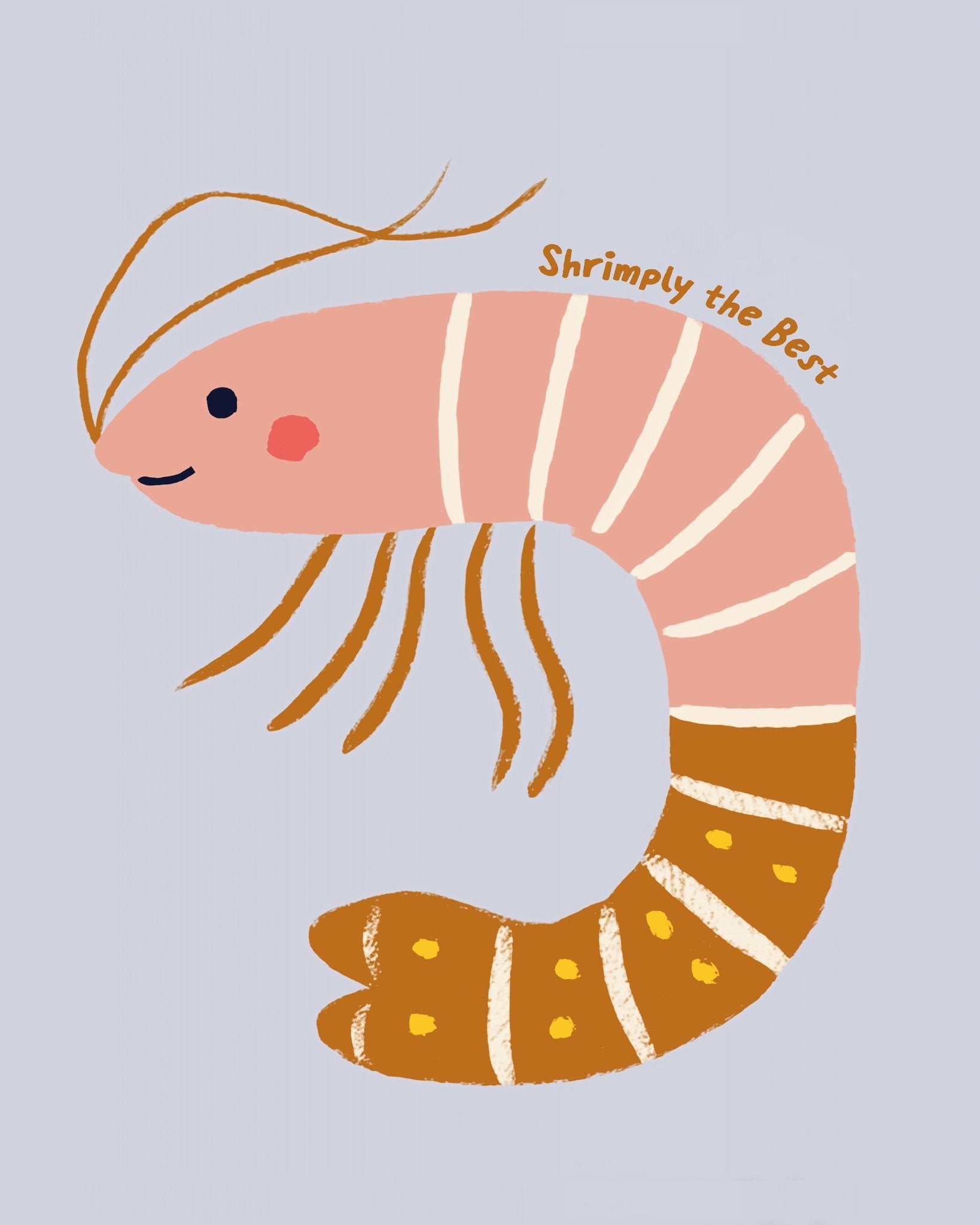 Cute Shrimp Illustration