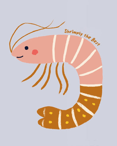 Cute Shrimp Illustration