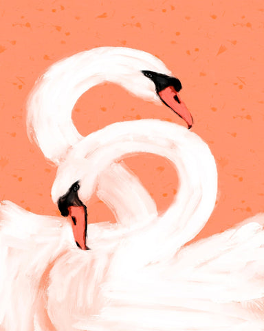 Swan Love Pair
