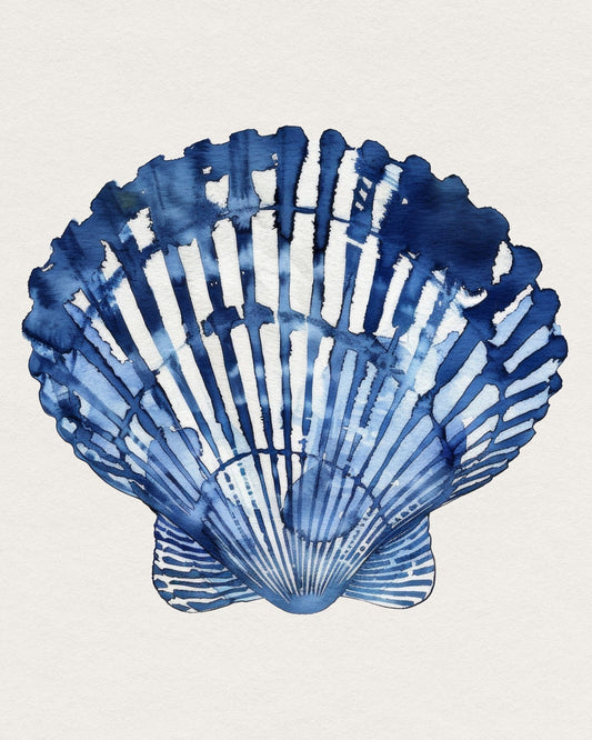 Blue Seashell Study