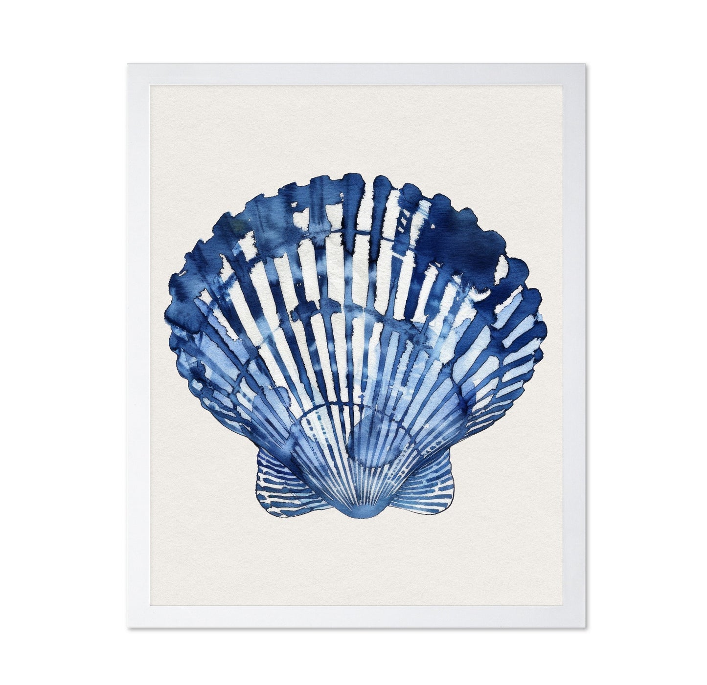 Blue Seashell Study