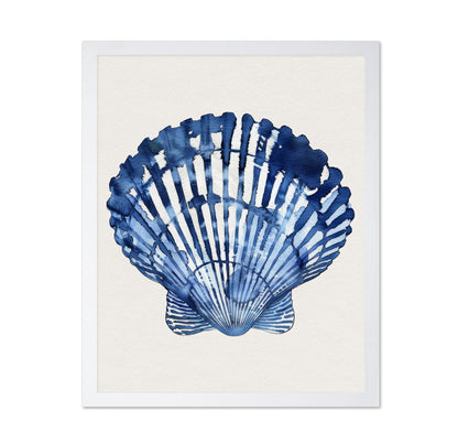 Blue Seashell Study