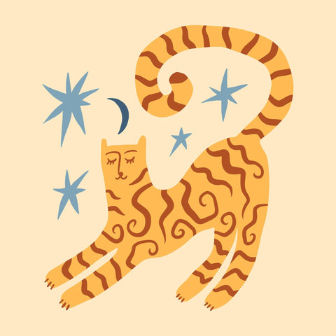 Cosmic Cat Dream