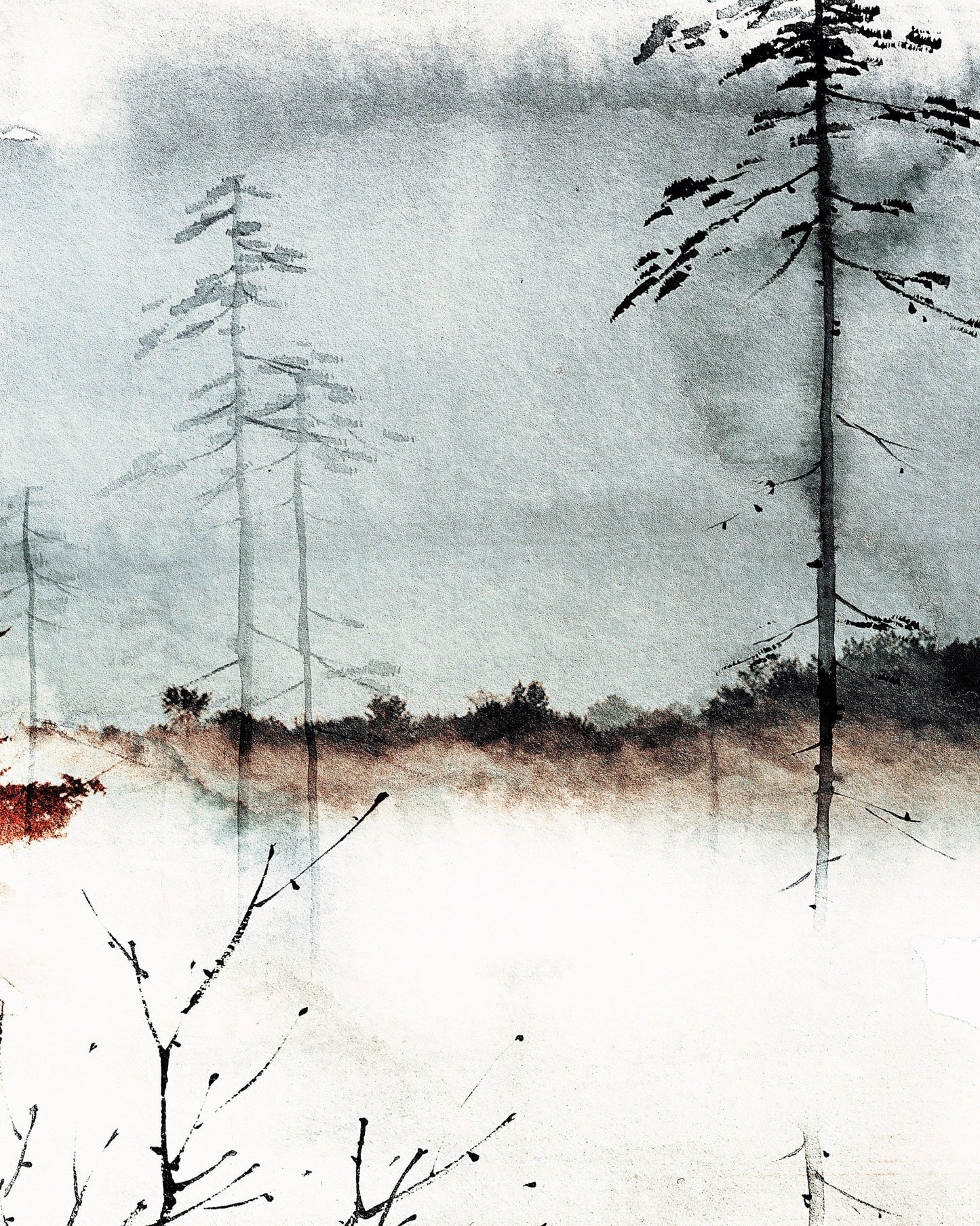 Misty Pine Forest No3