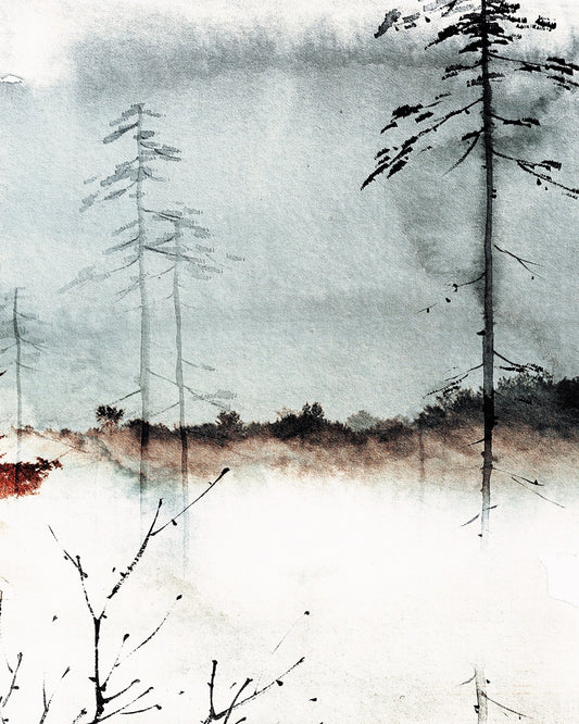 Misty Pine Forest No3