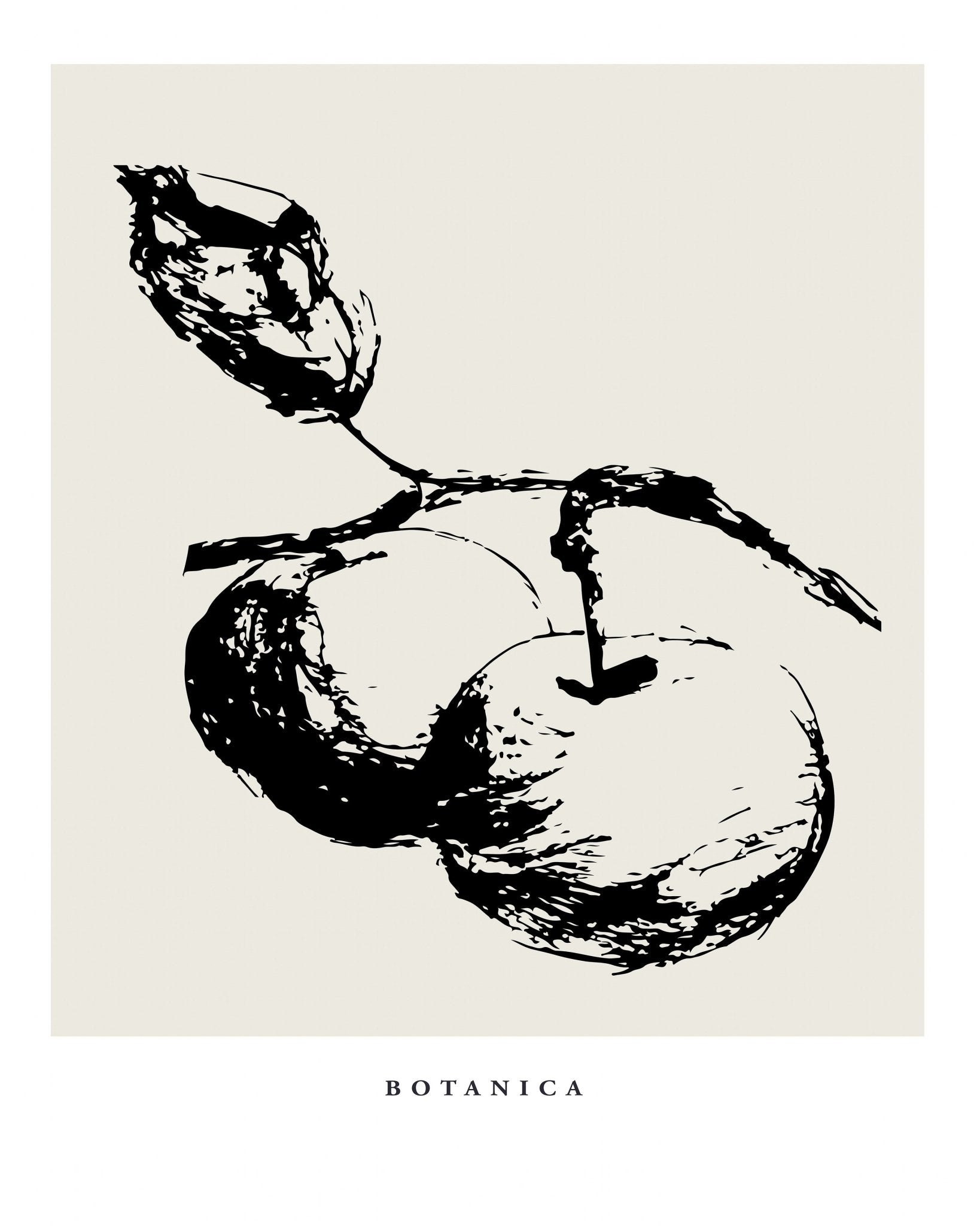 Botanical Fruit Study
