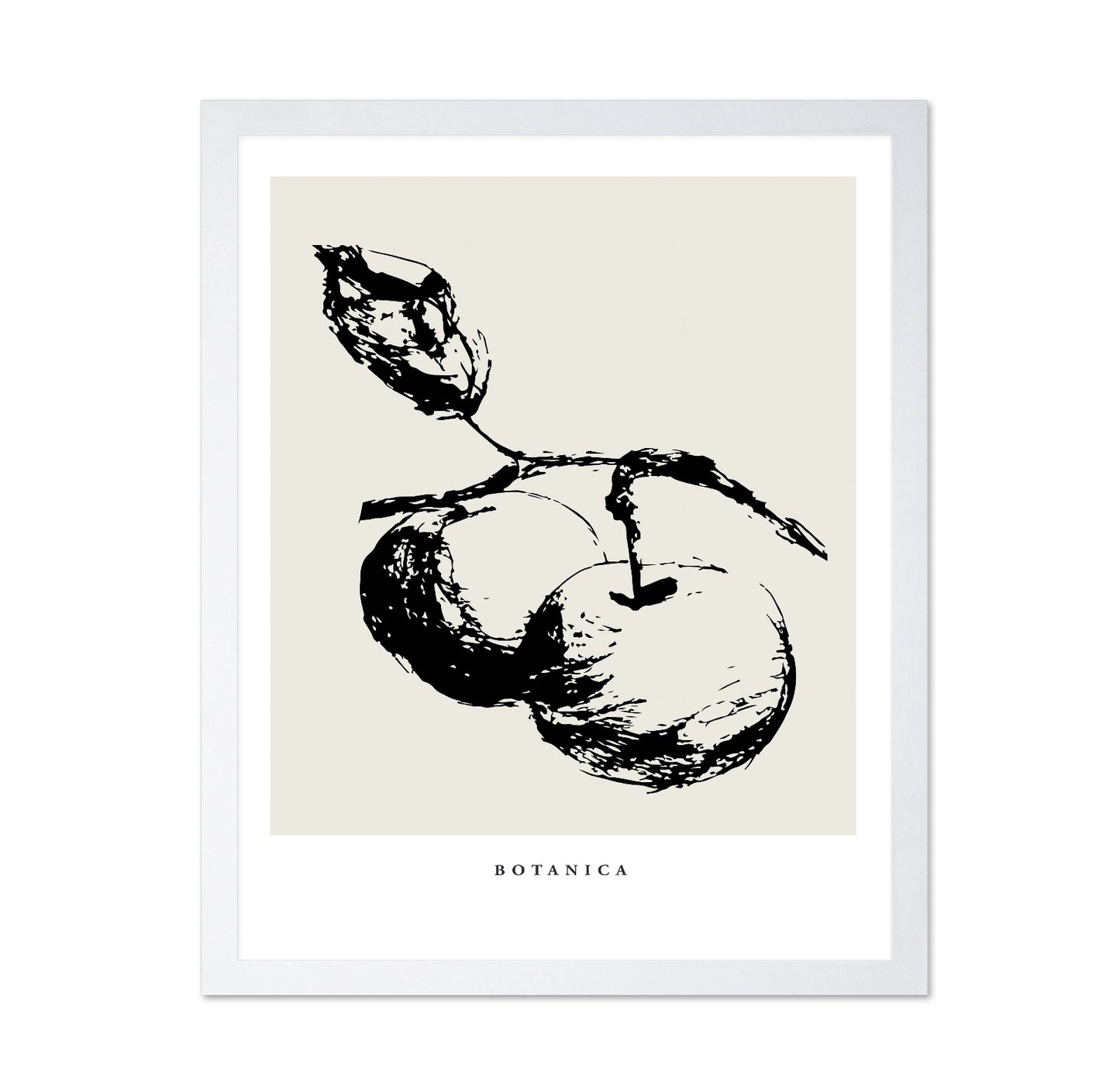 Botanical Fruit Study