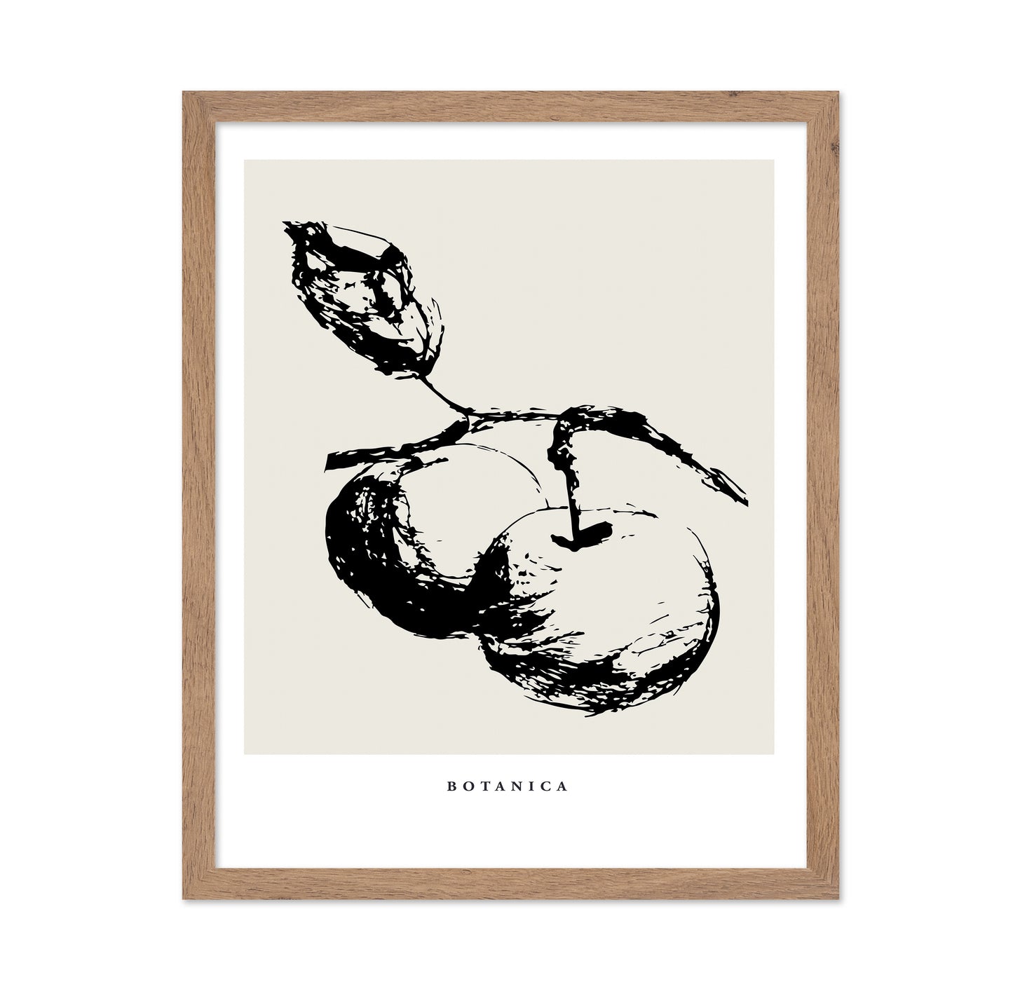 Botanical Fruit Study