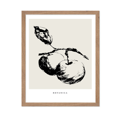 Botanical Fruit Study