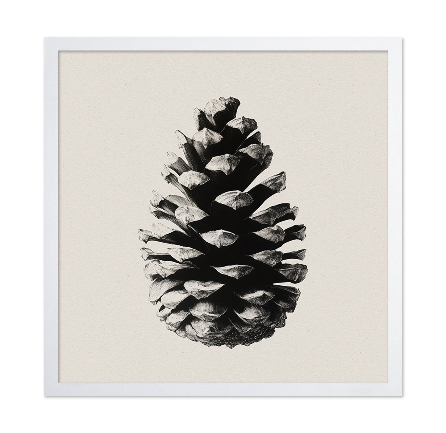 Pinecone Study