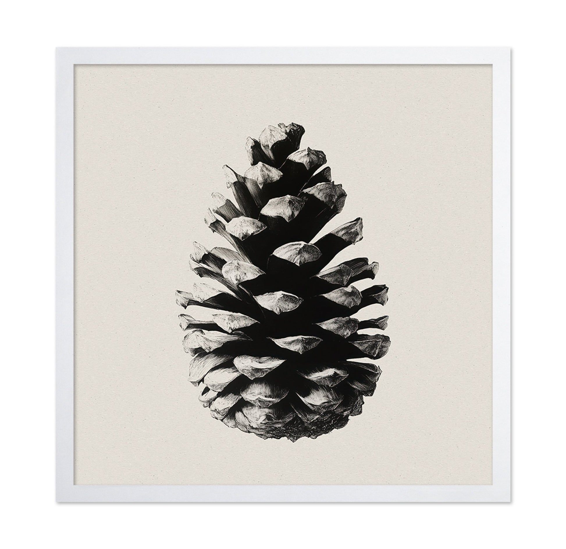 Pinecone Study