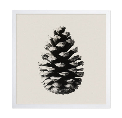Pinecone Study