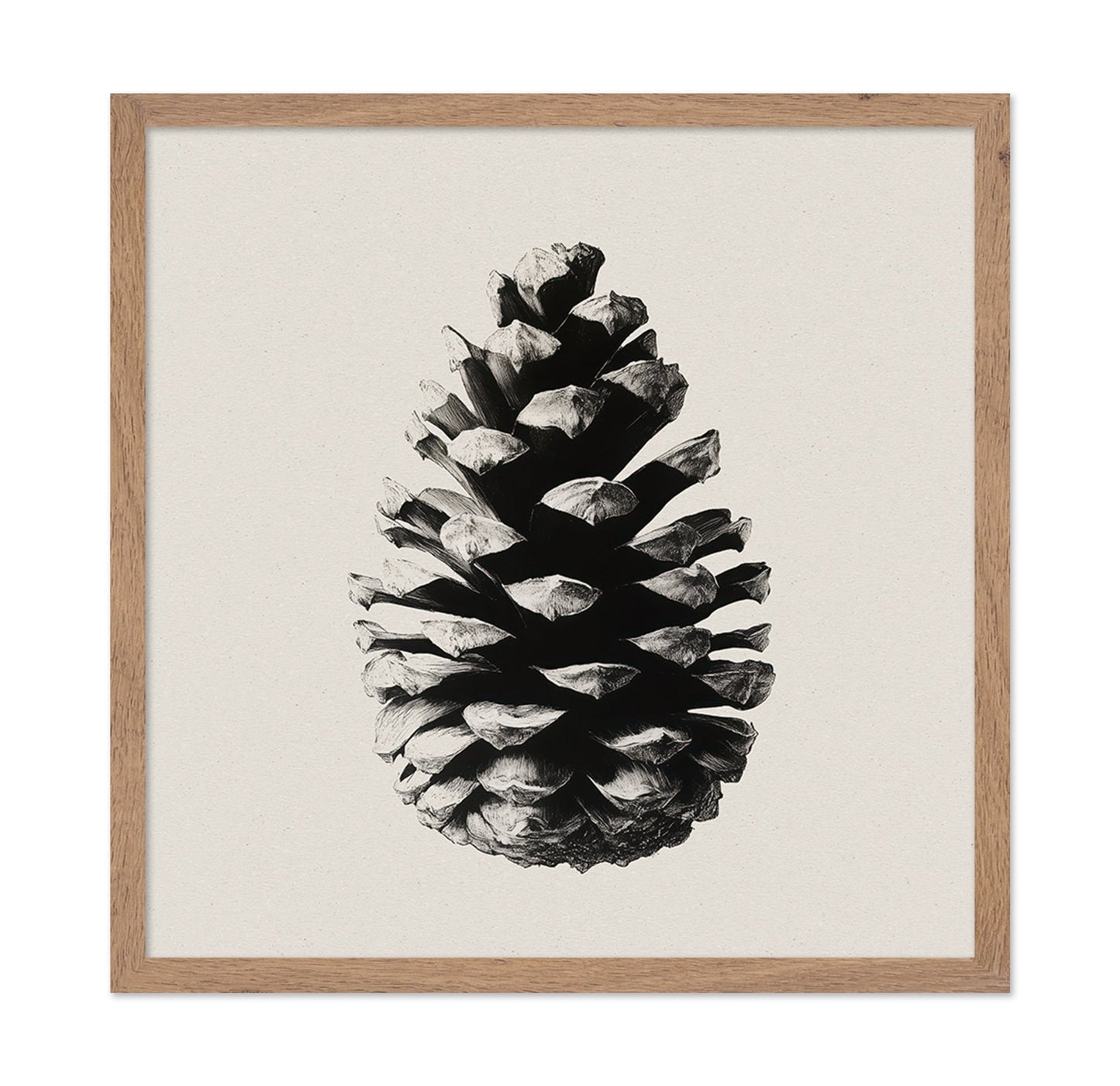 Pinecone Study