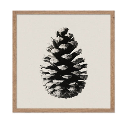 Pinecone Study