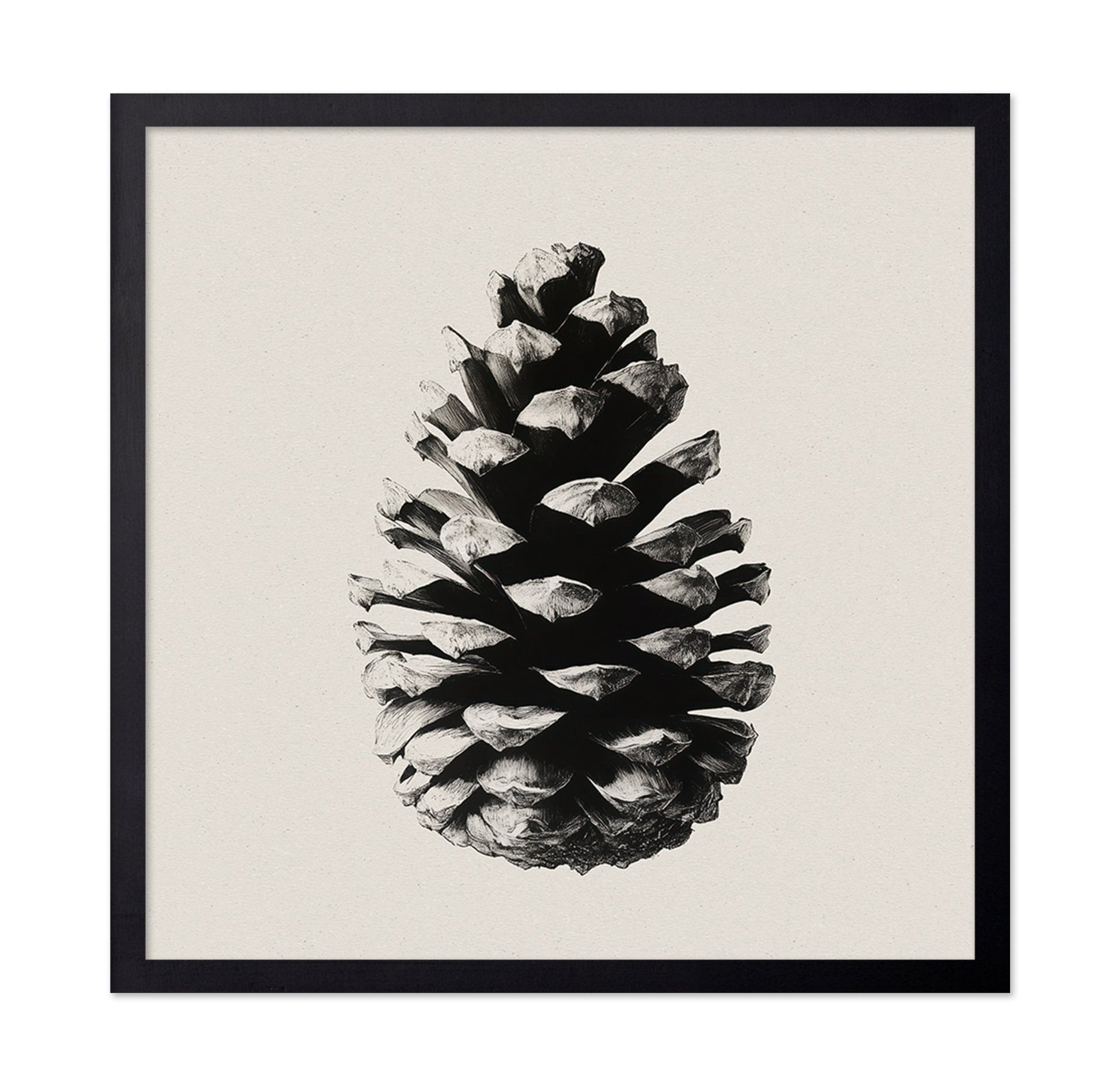 Pinecone Study