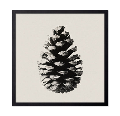 Pinecone Study