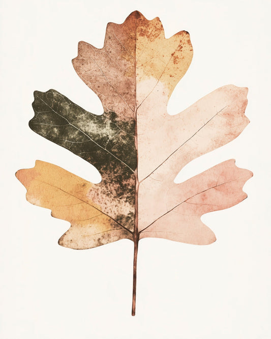 Autumn Leaf Study