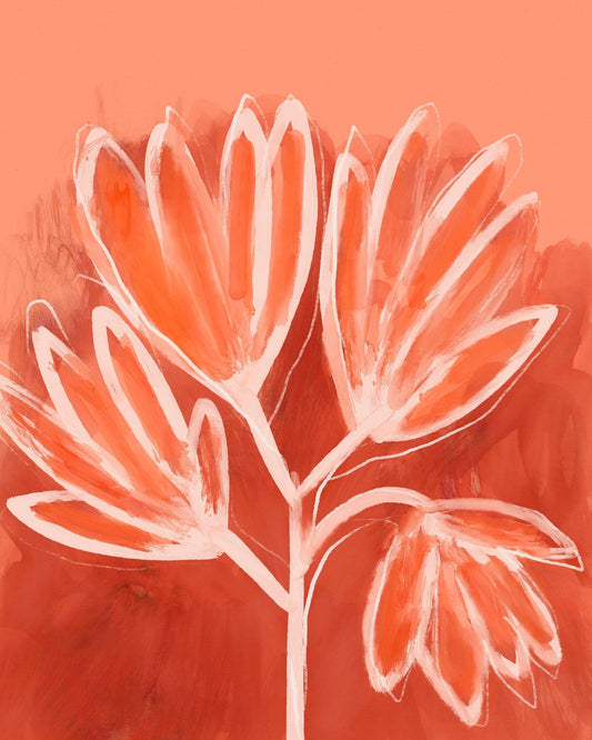 Coral Bloom