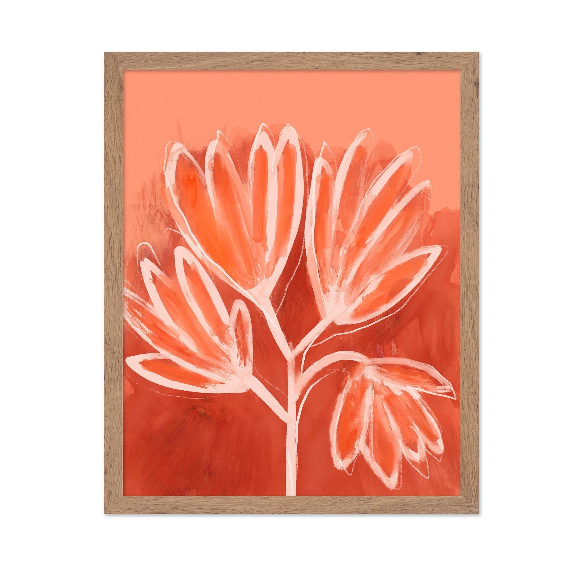Coral Bloom
