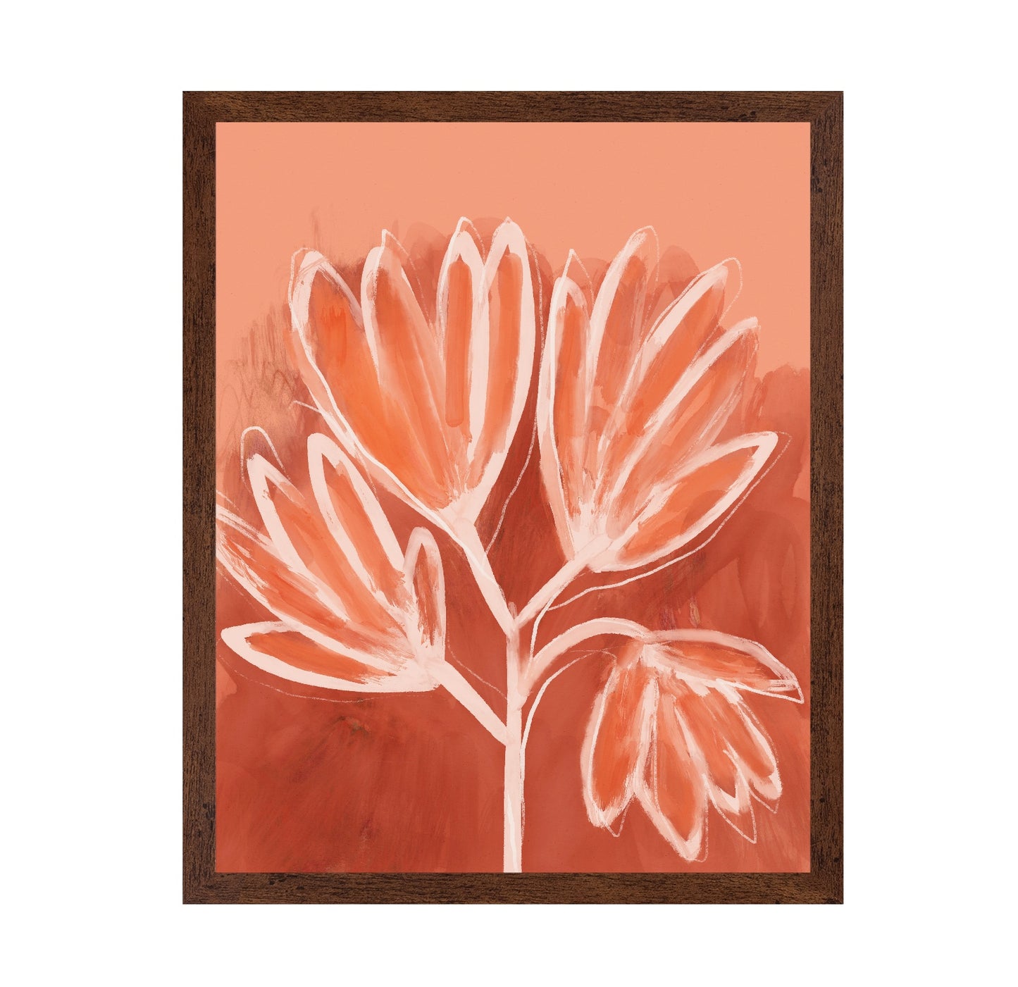 Coral Bloom