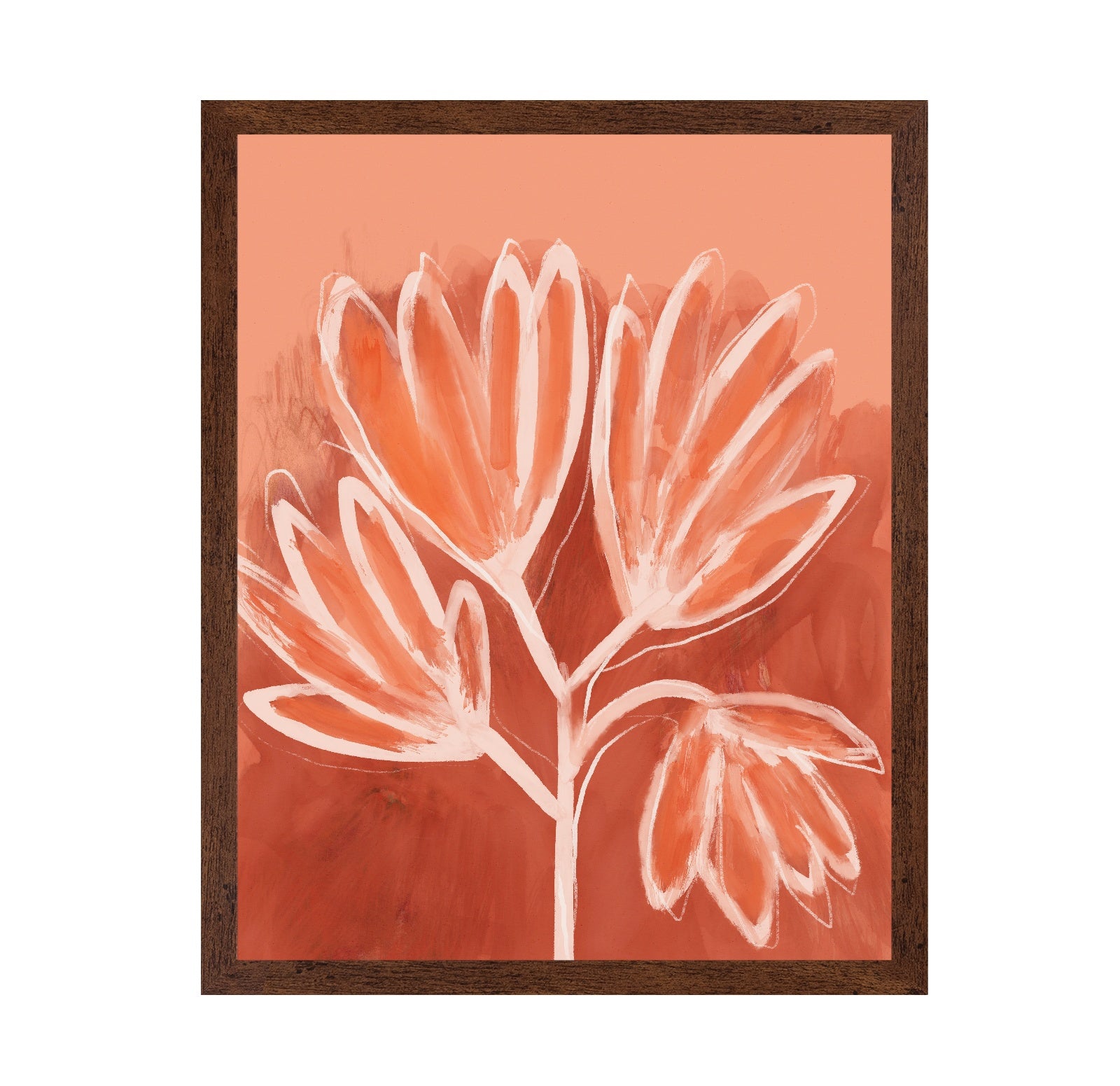 Coral Bloom