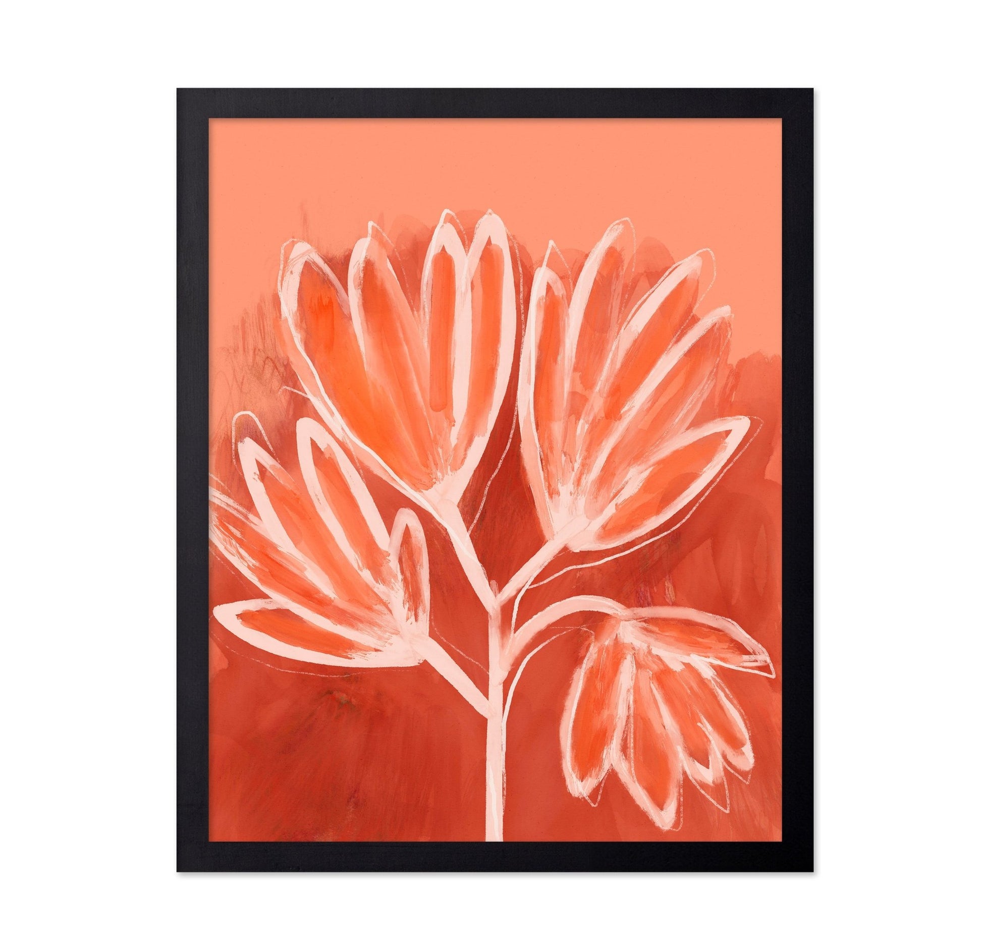 Coral Bloom