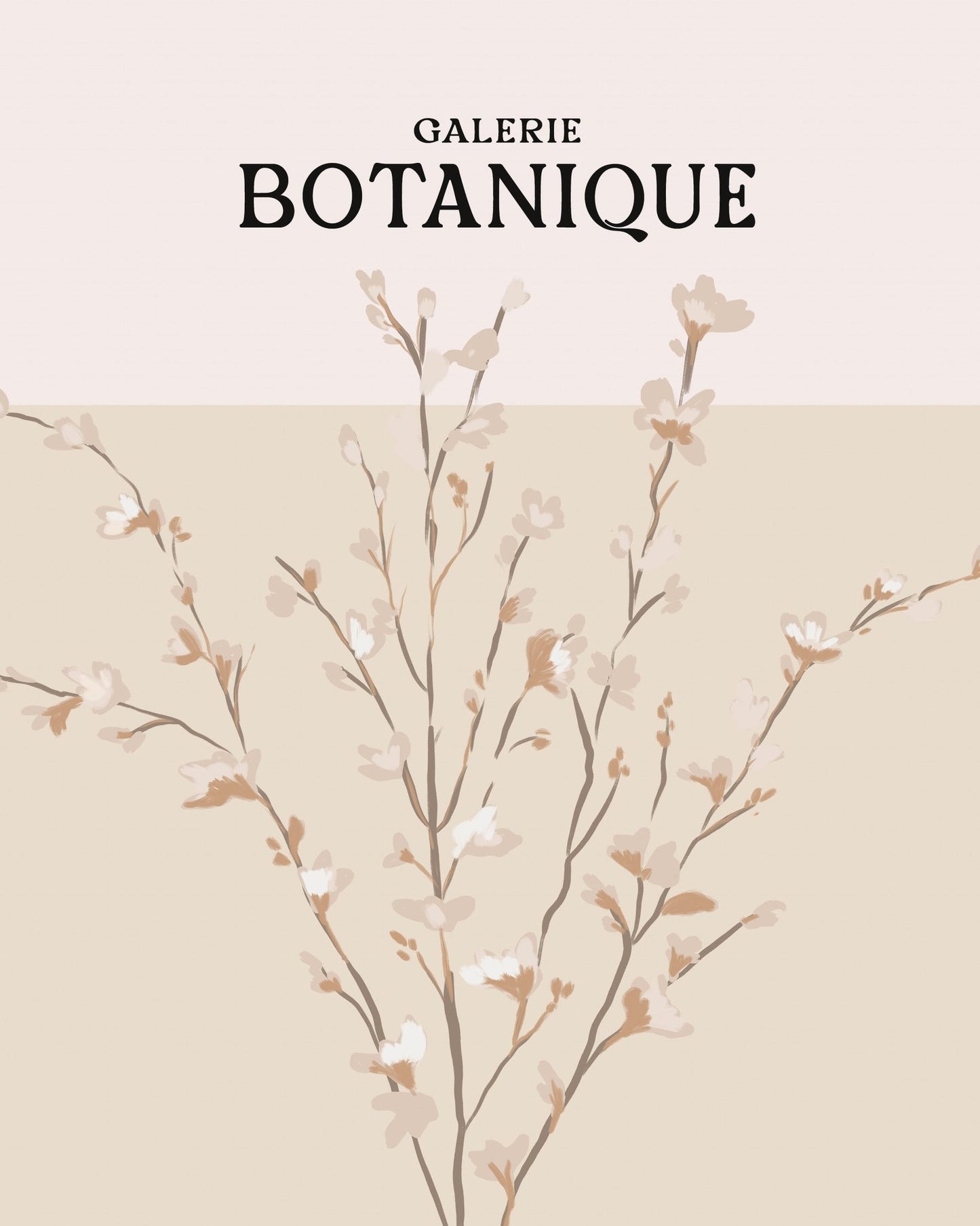 Botanique Blossom Study