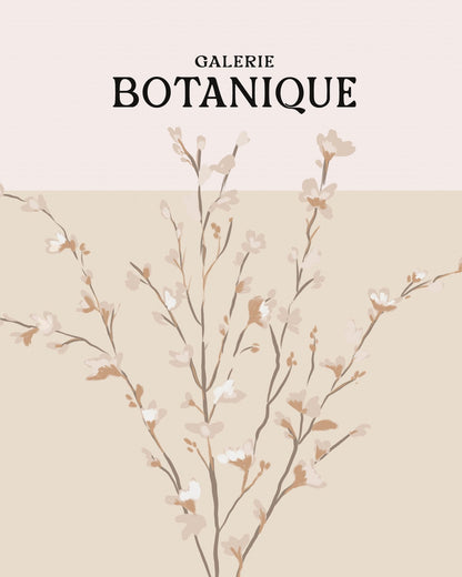 Botanique Blossom Study