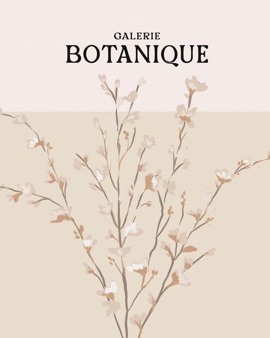 Botanique Blossom Study